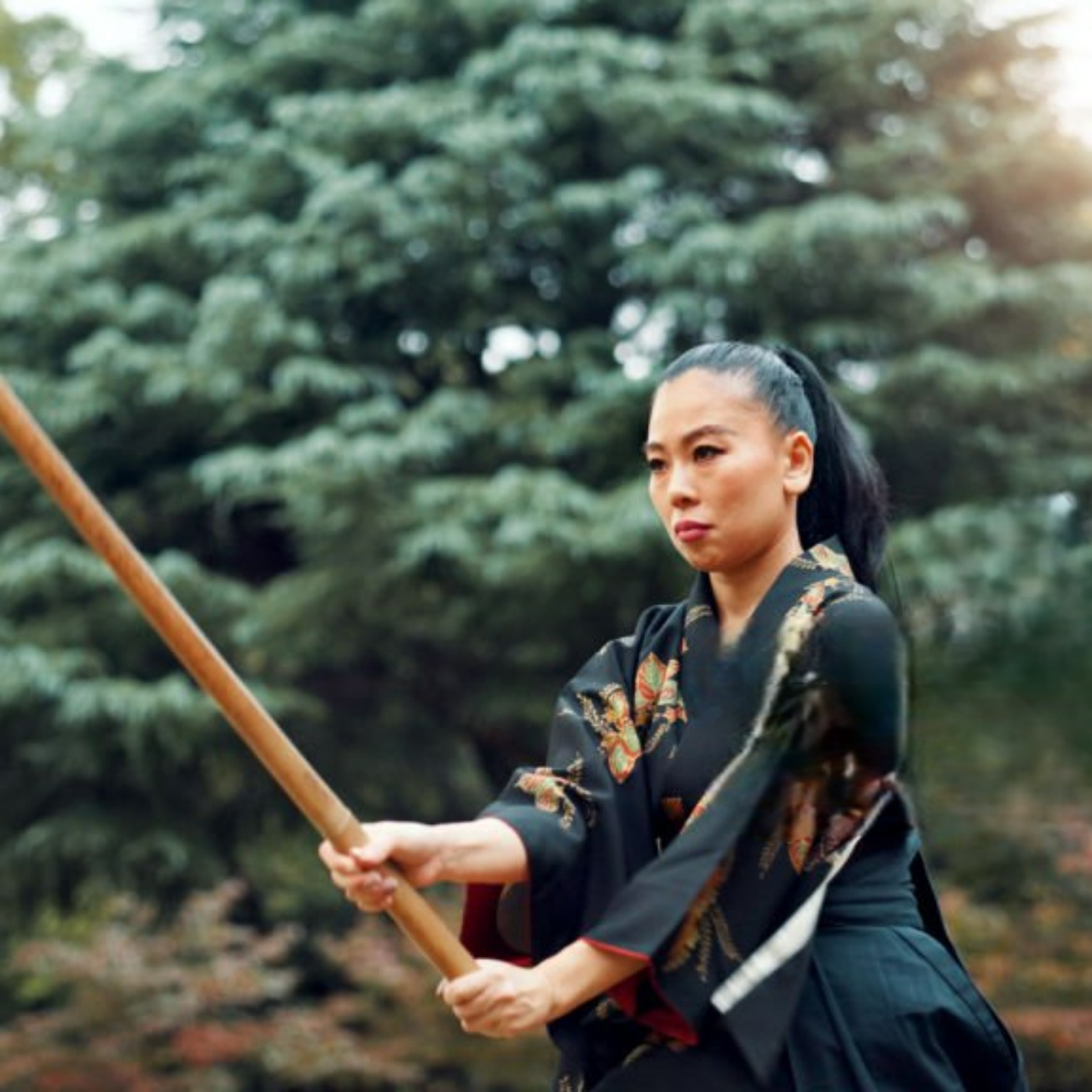 Sword and Mind as One — 剣禅一如 (Ken Zen Ichinyo)