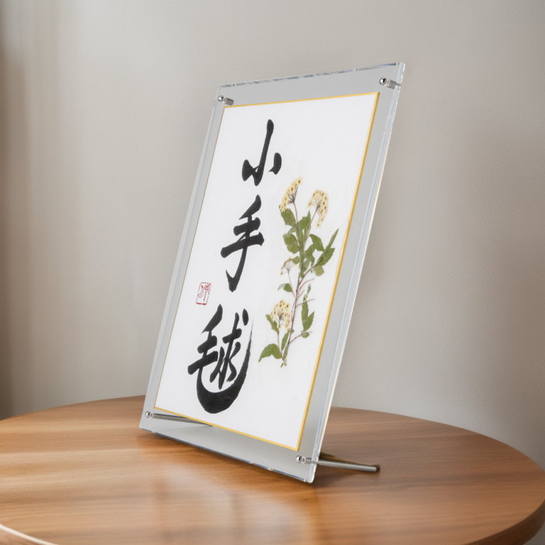 Pressed Flower Kodemari "Reeves Spirea" in Japanese - Acrylic Clear Frame,  Design 1 (Free Shipping)