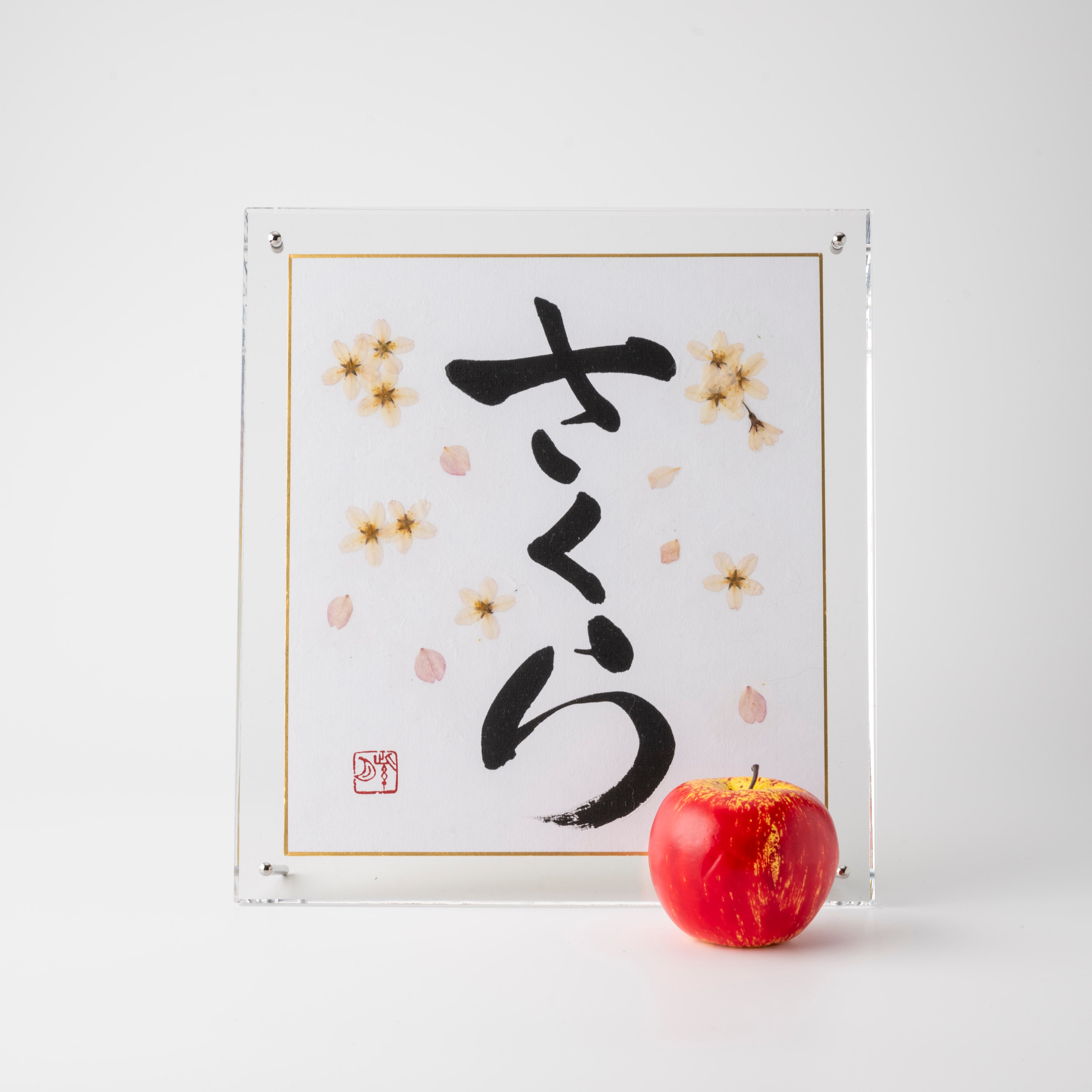 Pressed Flower Sakura "Cherry Blossom" in Japanese - Acrylic Clear Frame, Design 3 (Free Shipping)