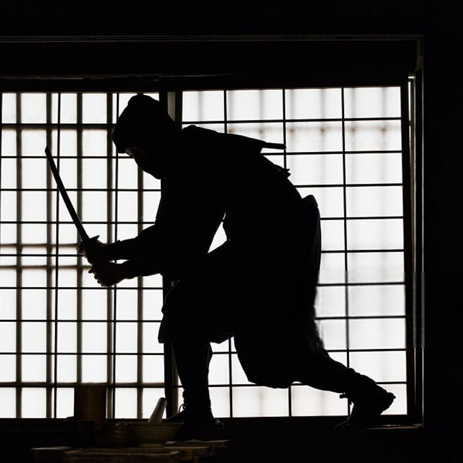 忍者 NINJA — Master of the Unseen, Embodiment of Silent Power